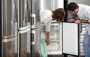 Обзор моделей холодильников Vestfrost и Siemens